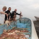 Охотское море. Морской улов
